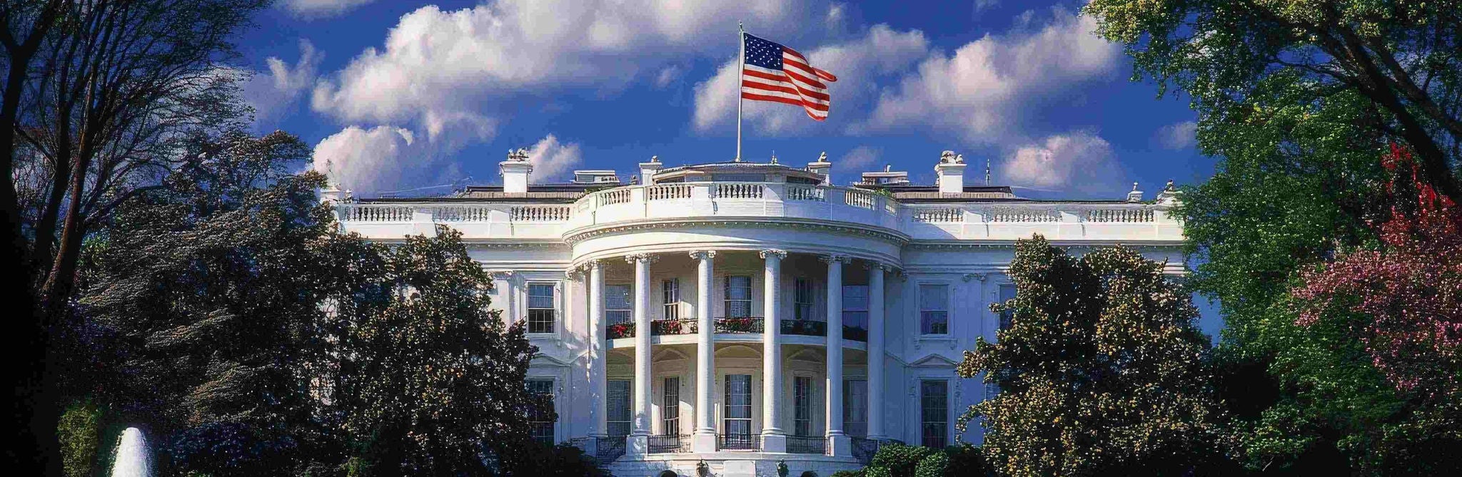 US election voting