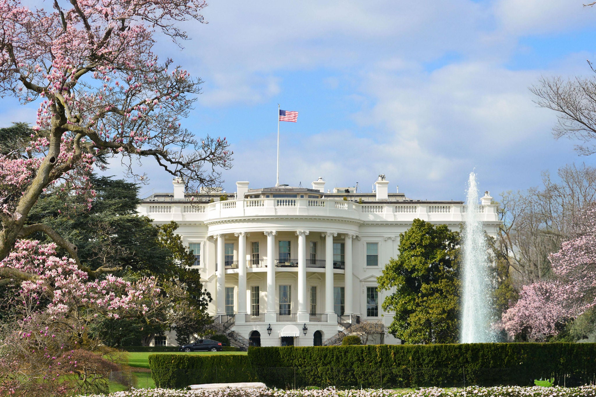 Spring day with White House and cherry blossoms